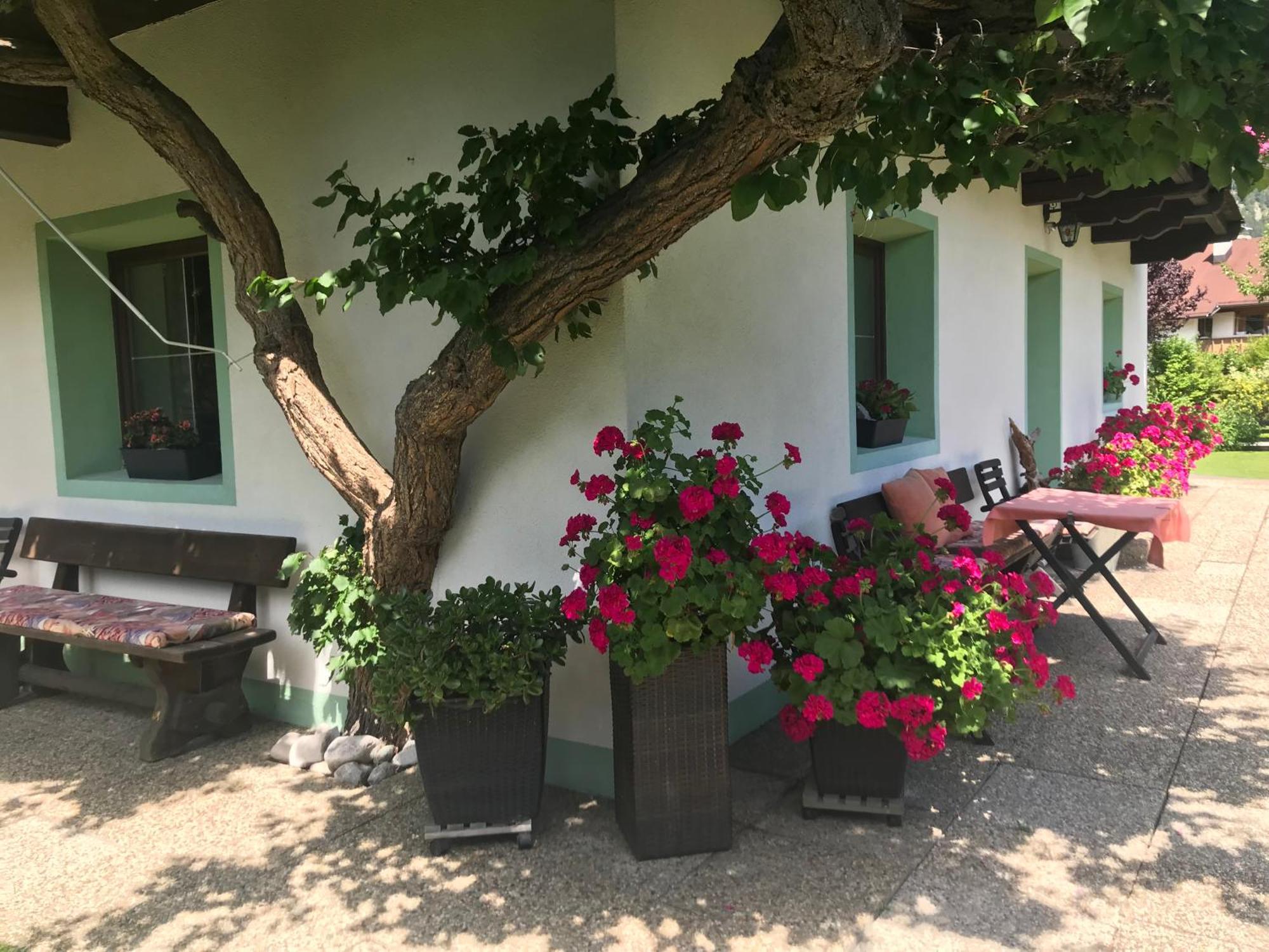 Appartamento Haus Hoher Sattel Leutasch Esterno foto