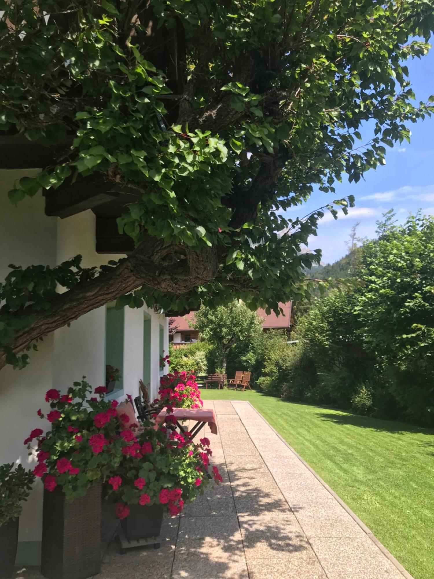 Appartamento Haus Hoher Sattel Leutasch Esterno foto
