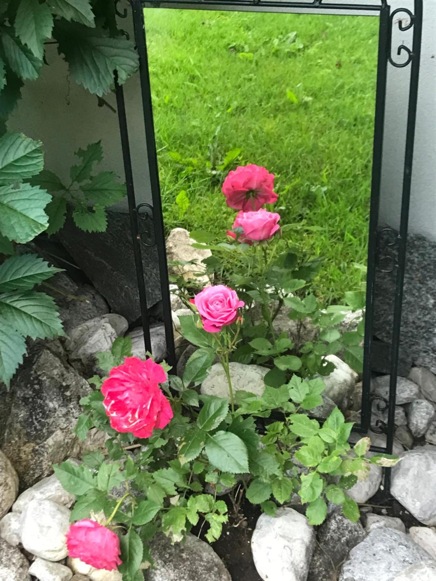 Appartamento Haus Hoher Sattel Leutasch Esterno foto