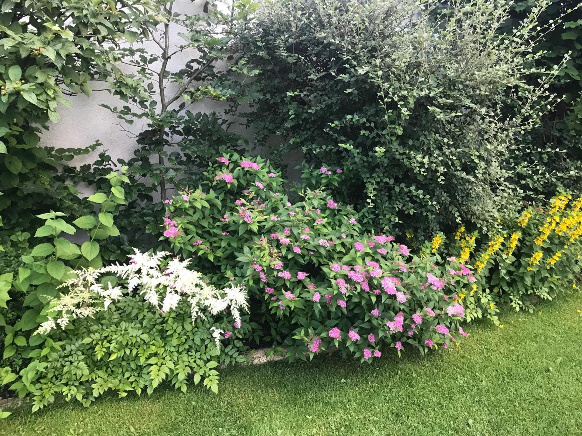 Appartamento Haus Hoher Sattel Leutasch Esterno foto